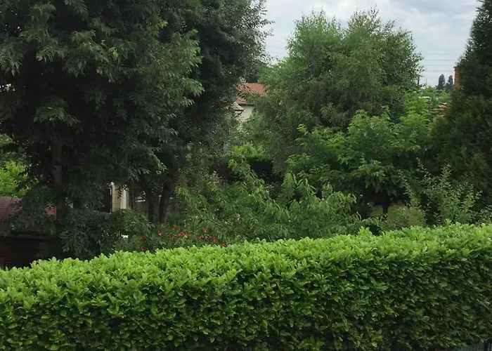 Appartement Cosy Lyon Bron